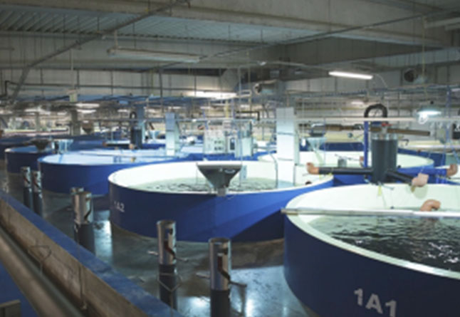 未标题-1_0002_ 2012年年